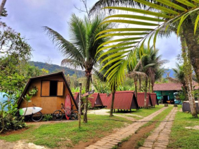 Surf BASE Hostel